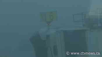 Newfoundland is being sieged by heavy fog, and travellers are paying the price