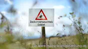 Extreme Art: Riesenzecke breitet sich aus – auch in Deutschland?