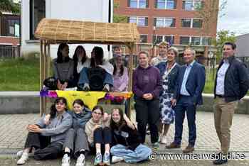 Leerlingen Sjabi winnen Rotary-wedstrijd: “Ons ‘caravanneke’ moet speelplaats opfleuren”