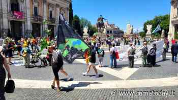 Più alberi e rispetto per la biodiversità. Arriva in Campidoglio la protesta della “foresta in cammino”