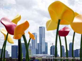Edmonton weather: Strong winds temper an otherwise sunny day