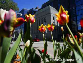 Bank of Canada cuts key interest rate for first time in more than four years