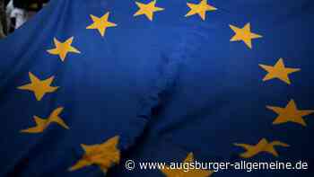 Bündnis feiert die Demokratie auf dem Münsterplatz