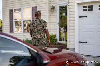 Service Dogs Work Wonders for Veterans With PTSD: Study