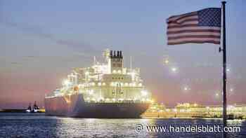 Interview: „Die Energiesicherheit ist nicht so gut, wie die Politiker behaupten“