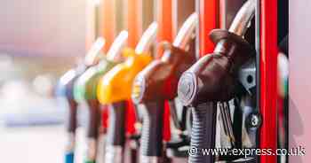 Fuel fury as prices for consumers 'fall like a feather' despite plunge in oil costs