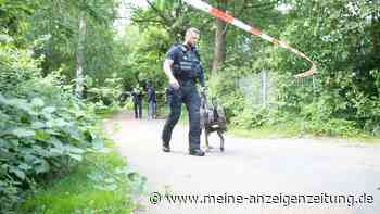 Großeinsatz in Hamburg: Messerattacke löst Amoklauf-Gerüchte aus