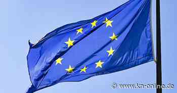 Europawahl 2024: Wirtschaft warnt vor AfD-Wahl – das ist gut so