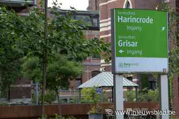 Vrouw (75) brutaal overvallen in Antwerpse serviceflat: “Verdachte deed zich voor als iemand van de technische dienst”