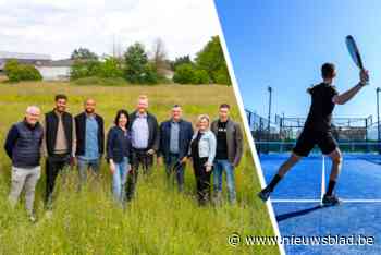 Deze bekende (ex-)profvoetballers investeren in Hoeselts sportcomplex: “We gaan geen passieve rol spelen”