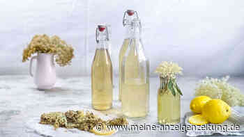 Prost aufn Frühsommer! Vier-Zutaten-Holunderblüten-Schnaps zum Genießen oder Verschenken