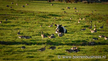 Provincies betalen bijna kwart meer aan wildschade