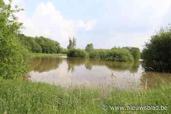 Na meer dan tien jaar komt er eindelijk schot in de zaak: provincie gaat overstromingsgebied aanleggen om wateroverlast Motte tegen te gaan