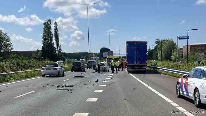 Overstekende eendjes veroorzaken ravage op de A44