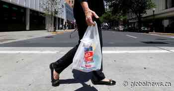 Increase in Edmonton’s paper, reusable bag fee takes effect July 1