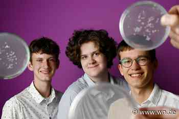 Münsteraner bekämpfen Mikroplastik mit Mehlwürmern