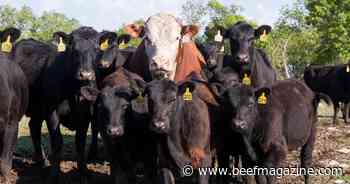 Monitoring for breeding success