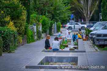 Die Lutter-Freilegung kann weitergehen