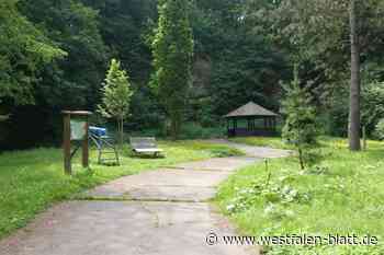 Tag der Gärten und Parks: Bäume im Mittelpunkt