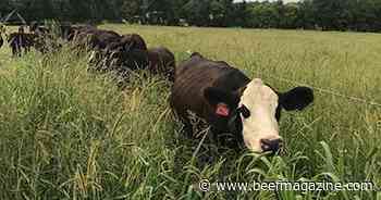 IBC to host fencing and grazing clinic