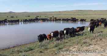 SDSU Extension offering livestock water testing across state