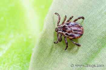 A Malaria Drug, Tafenoquine, May Combat Tick-Borne Babesiosis