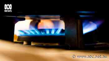 Victoria grants first gas extraction licence in 10 years in the state's south-west