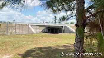 FDOT celebrates opening of new wildlife underpass in Polk County
