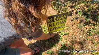 City of Tampa will soon begin work on improving Interbay Boulevard