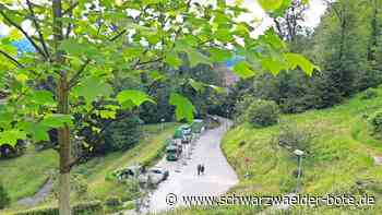 Für 1,5 Millionen Euro: Calwer Stadtgarten wird ab jetzt verschönert