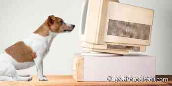 Can AI models trained on human speech help us understand dogs?