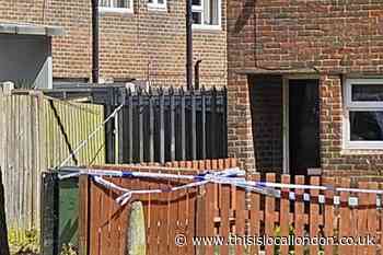 Nightingale Vale Woolwich police incident: Arrest made 