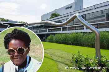 Middelheim en deSingel werken deze zomer samen en tonen schuimmachine,  speeltuin, wenskeien en nog veel meer