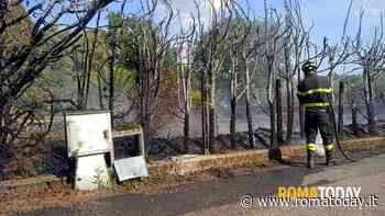 Incendio vicino al campo sportivo: le fiamme minacciano le abitazioni