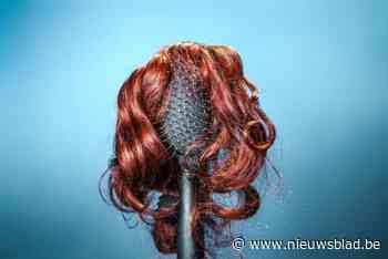 Drie maanden cel voor pruikendievegge