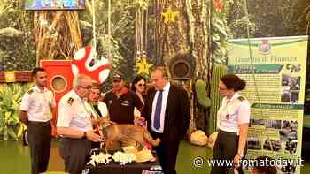 Giornata Mondiale degli Oceani: Guardia di Finanza di Fiumicino e Cites a Zoomarine