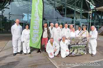 Raadkamer spreekt zich nog niet uit over zaak sanering asbeststort in Boom