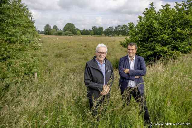 Overstromingsgebied Plaslaar breidt uit met meer natuur: “Industriezone Duwijck III wordt Plaslaar II”