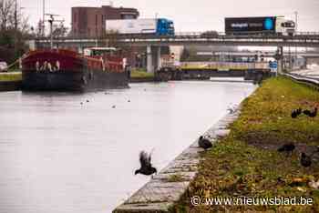 Stad en AWV bereiken akkoord over geluidsschermen voor Battel: “Binnen het jaar starten de werken”