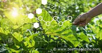 An argument for applying medical insights to agriculture