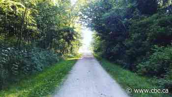 Stay away from trail near Chedoke Golf Course, Hamilton police warn, as they seek shooting suspect