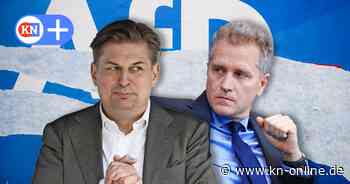 AfD: Wie es für Krah und Bystron nach der Europawahl weitergeht