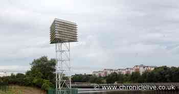 Plans lodged to expand Kittiwake nesting tower in Gateshead to improve chick birth rates