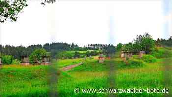 „Reichsbürger“-Razzia im Kreis Calw: Wie eng sind Verbindungen des Paares zu Rüdiger von Pescatore?