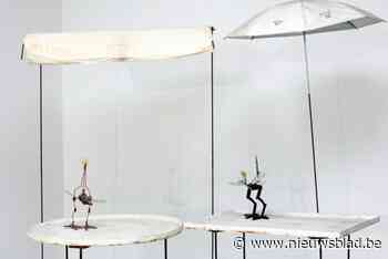 M HKA diept Vogelmarkt Panamarenko op in veelzijdige dierenexpositie