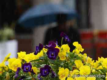 Weather: Lanes of westbound Highway 417 closed due to flooding from afternoon storm