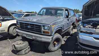 Junkyard Gem: 1983 Ford Bronco