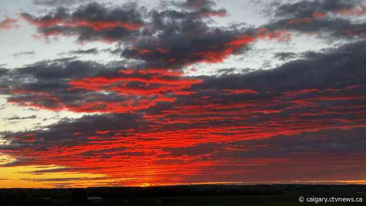 Expect sun with cloudy periods for the rest of the week, getting windier by the weekend