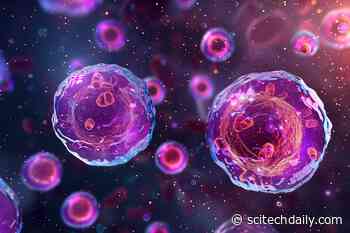 Unlocking Innate Immunity: Key Puzzle Piece Identified