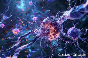 NIH Study Confirms: Humans Unlikely To Catch Deer Prion Disease